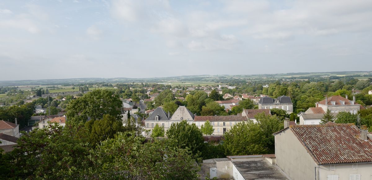 territoire_article-archi-elu